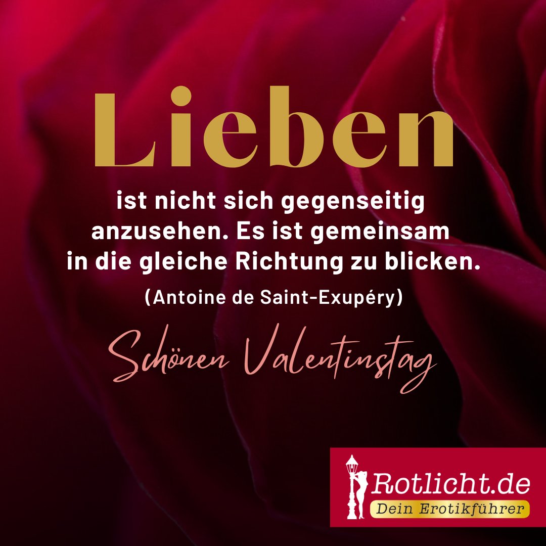❤️Lieben ist nicht sich gegenseitig anzusehen. Es ist gemeinsam in die gleiche Richtung zu blicken. (Autor Antoine de Saint-Exupéry)❤️Das Team von Rotlicht.de wünscht allen einen schönen Valentingstag 🌹!

#valentine #love #writer #poetry #valentinesday #heart