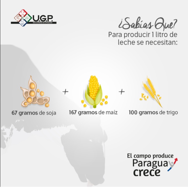 ParlamentoAgro's tweet photo. Sos un verdadero ignorante @enriquegamarra. Feliz por que caiga granizo a los "sojeros". Pero no sabes nada! Zurdito resentido. Envidioso. Un día va a rogar a los sojeros que te den trabajo. Y acá algunos datos anti patriota. Comedor de soja y odiador de paraguayos. https://t.co/ZqLpmLYtcQ