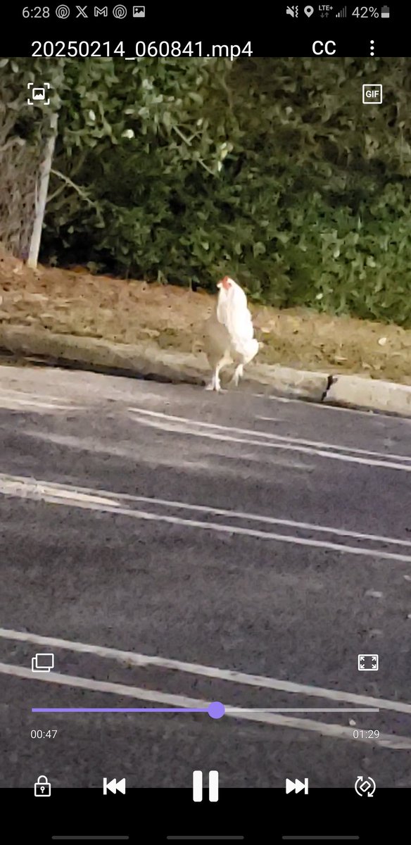 Amanda Paige tweet media