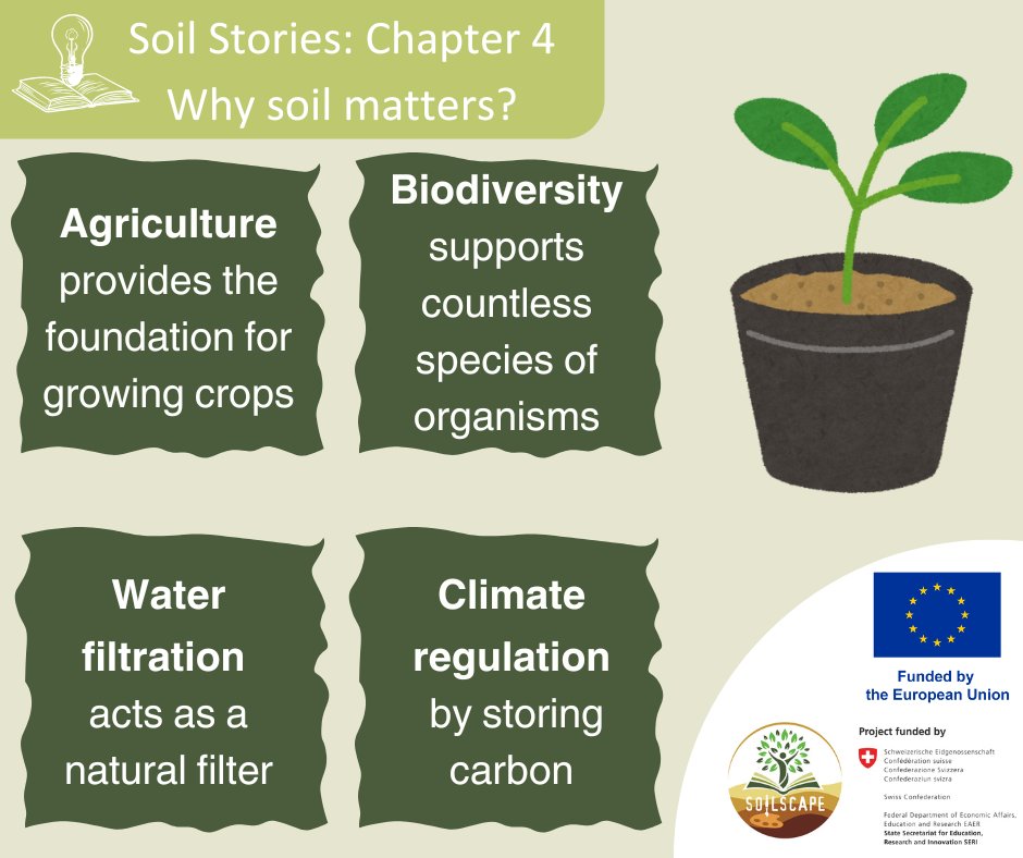 SOILSCAPE Project (@soilscape_eu) on Twitter photo 💡Soil Stories: Chapter 4 - Why Soil Matters
Soil plays a vital role in maintaining a healthy planet. Healthy soil is key to a sustainable future!
<a href="/HorizonEU/">Horizon Europe 🇪🇺</a> <a href="/EUScienceInnov/">EU Science & Innovation 🇪🇺</a> <a href="/UNESCOVenice/">UNESCO Venice Office</a>
#soilscape #MissionSoil #SoilAwareness #SoilStories 💡Soil Stories: Chapter 4 - Why Soil Matters
Soil plays a vital role in maintaining a healthy planet. Healthy soil is key to a sustainable future!
<a href="/HorizonEU/">Horizon Europe 🇪🇺</a> <a href="/EUScienceInnov/">EU Science & Innovation 🇪🇺</a> <a href="/UNESCOVenice/">UNESCO Venice Office</a>
#soilscape #MissionSoil #SoilAwareness #SoilStories