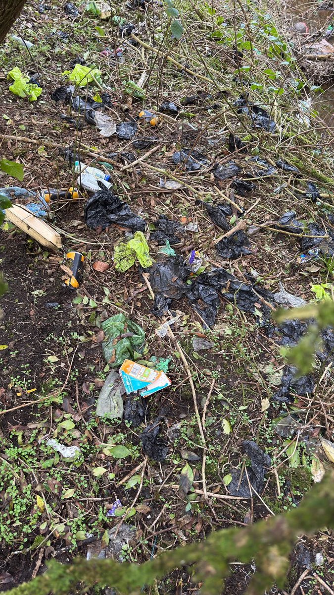 Keep Bury Clean 🌳 tweet media