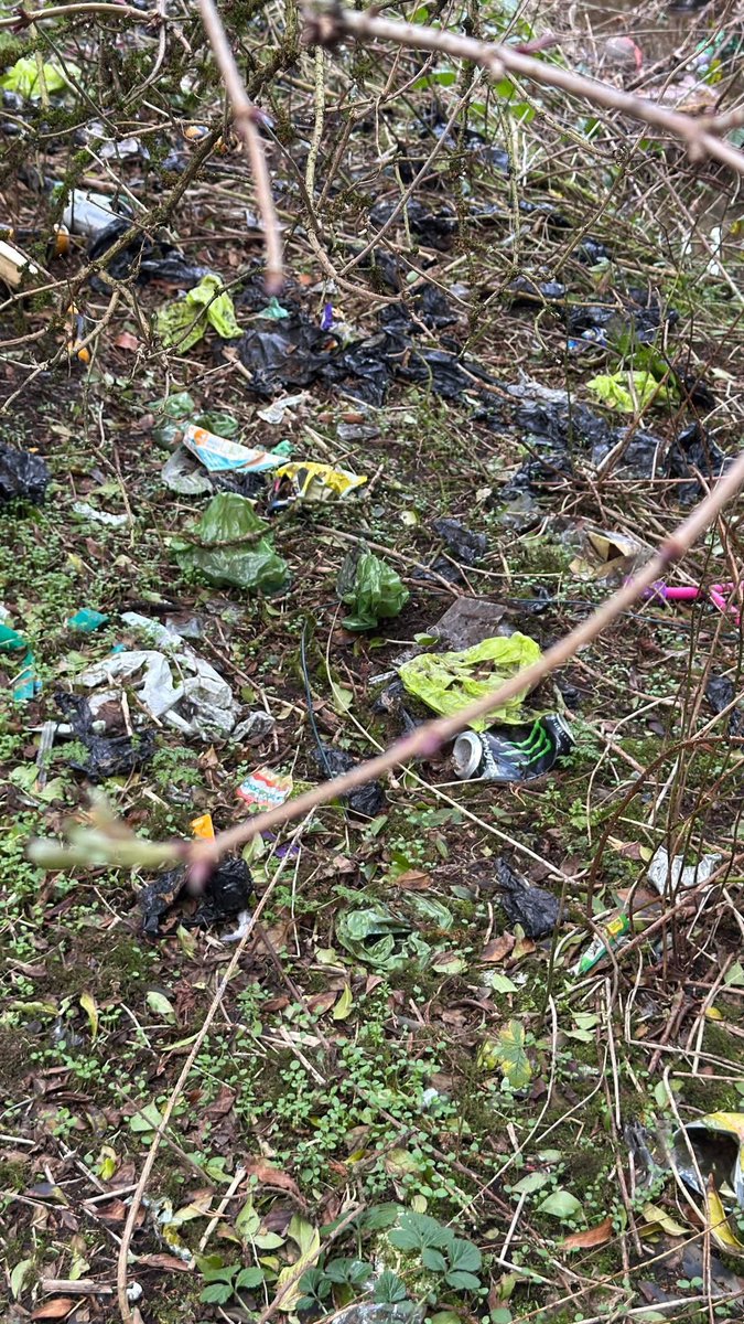 Keep Bury Clean 🌳 tweet media