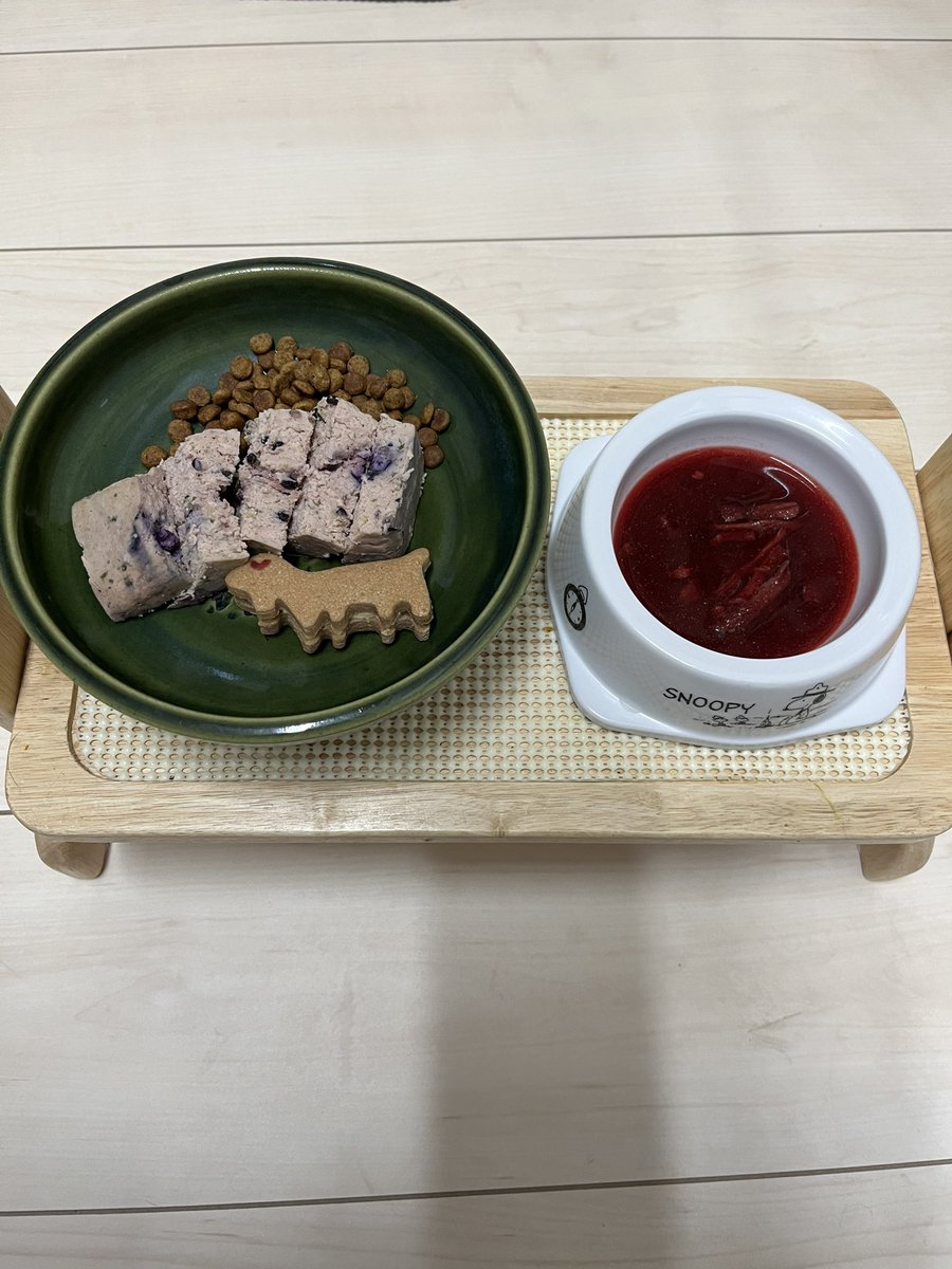 バレンタインデーのもちのご飯はmoremore treatsさんのバレンタインセット💘
美味しく頂きました。

＃コーギー 
＃コーギーのいる暮らし 
＃バレンタインデーキャンペーン