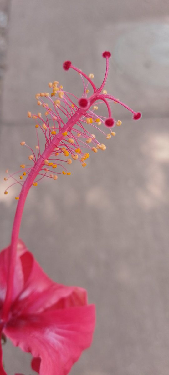 Prove that u understood wat your teachers taught you