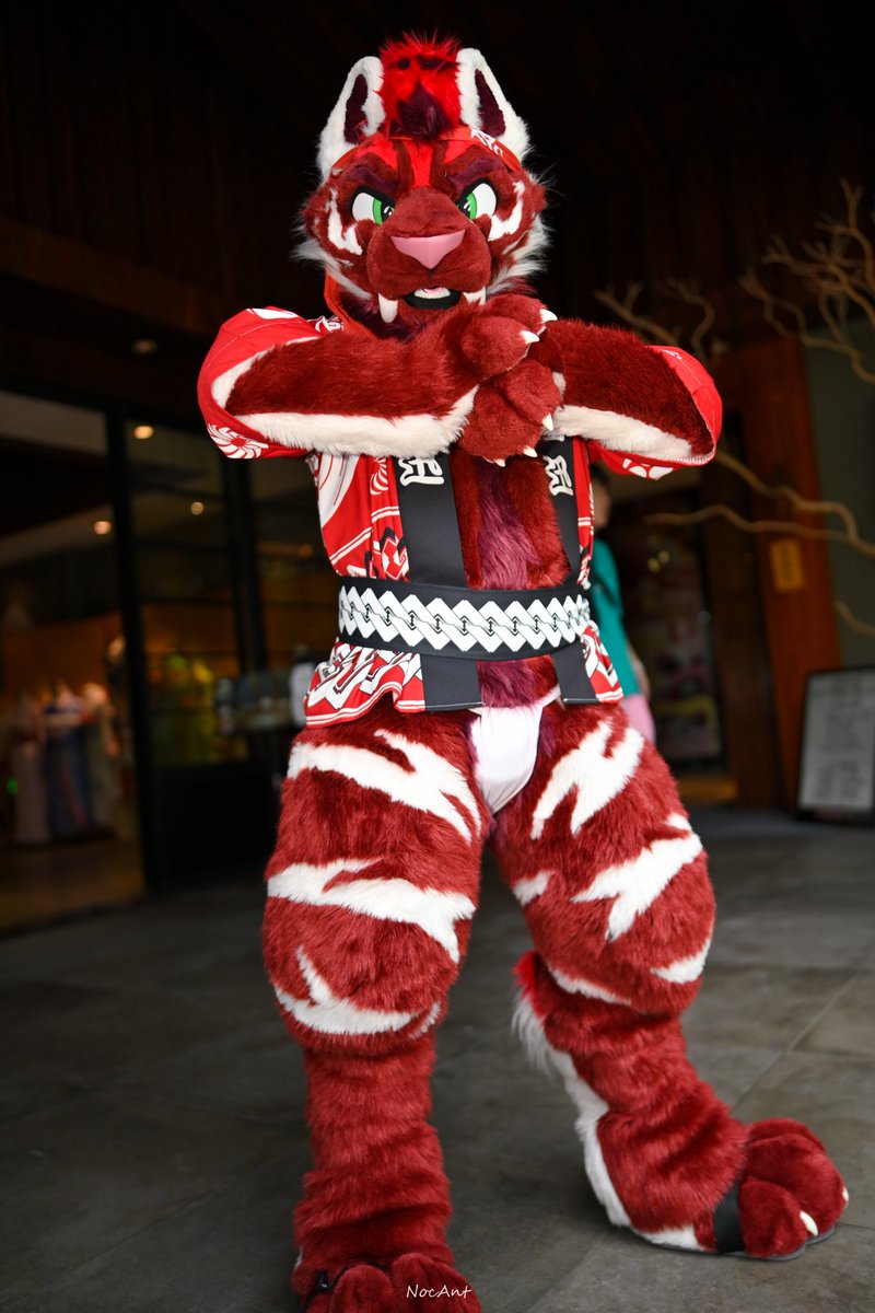 褌の日
#FursuitFriday 
#褌の日