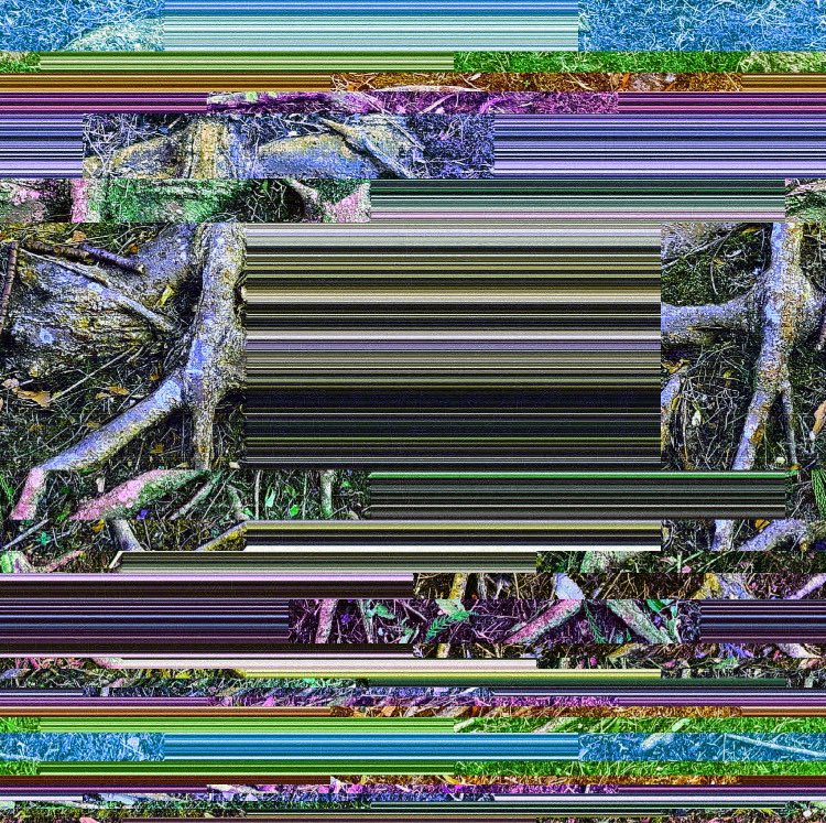 Izumi Gould tweet media