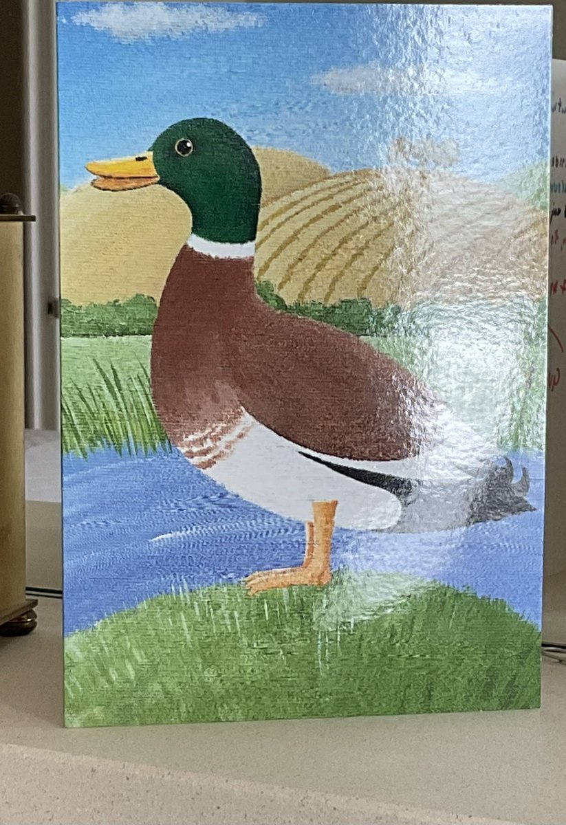 Judith Earl tweet media