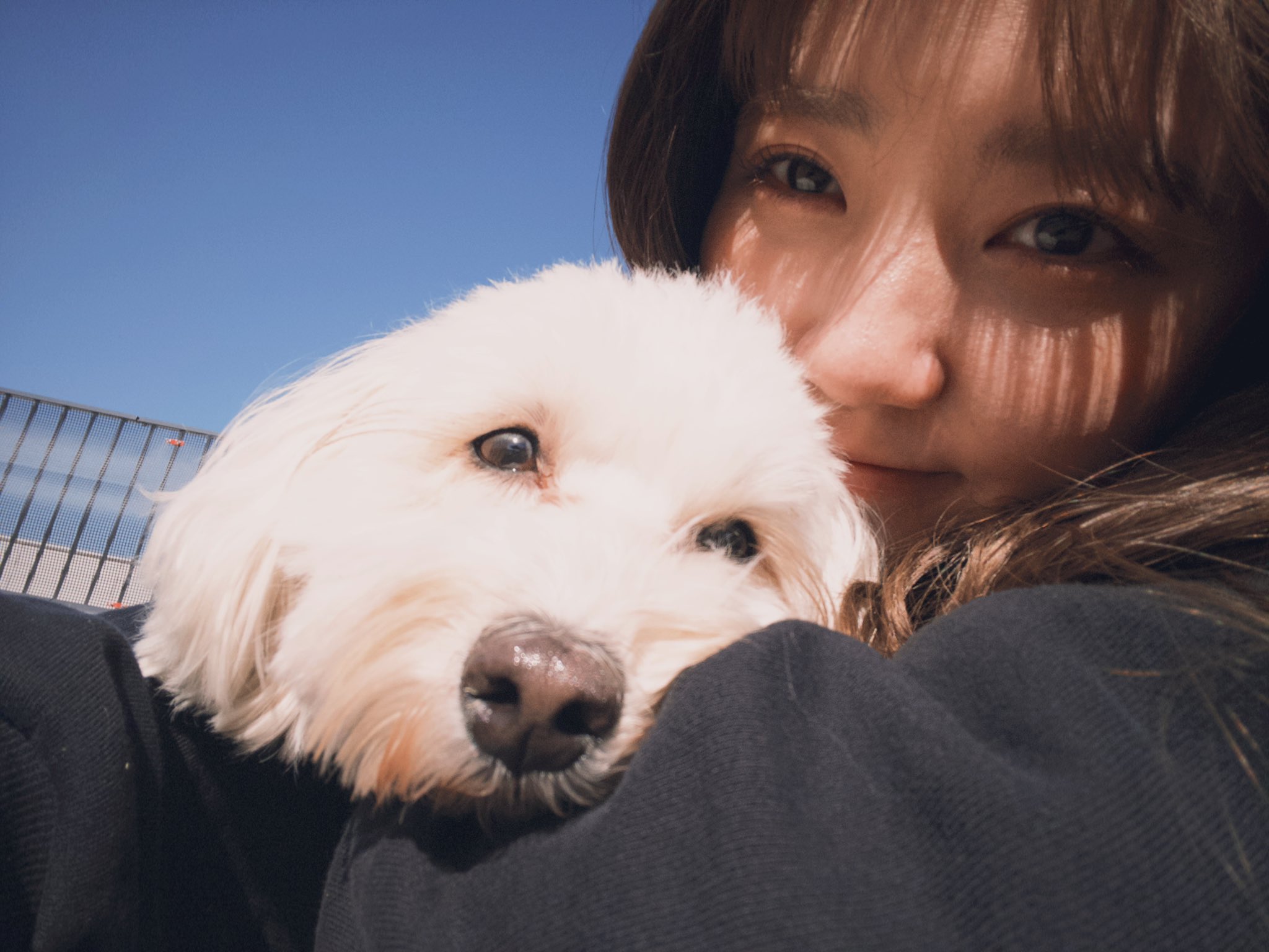 駿河屋 -<中古>加藤玲奈/スペシャルDVD BOX＆スペシャルBlu-ray