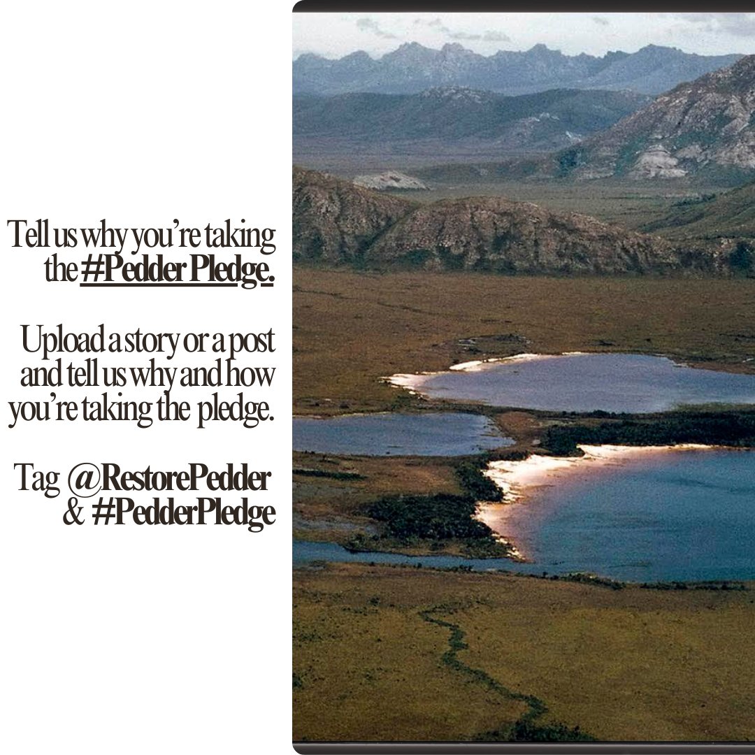 Sign the #PedderPledge &amp; commit to voting for parties who are prioritizing nature in the upcoming election
Commit to conservation, restoration &amp; positive gains for the environment at the ballot box
Tell us why you're signing the Pedder Pledge, tag @restorepedder &amp; #PedderPledge