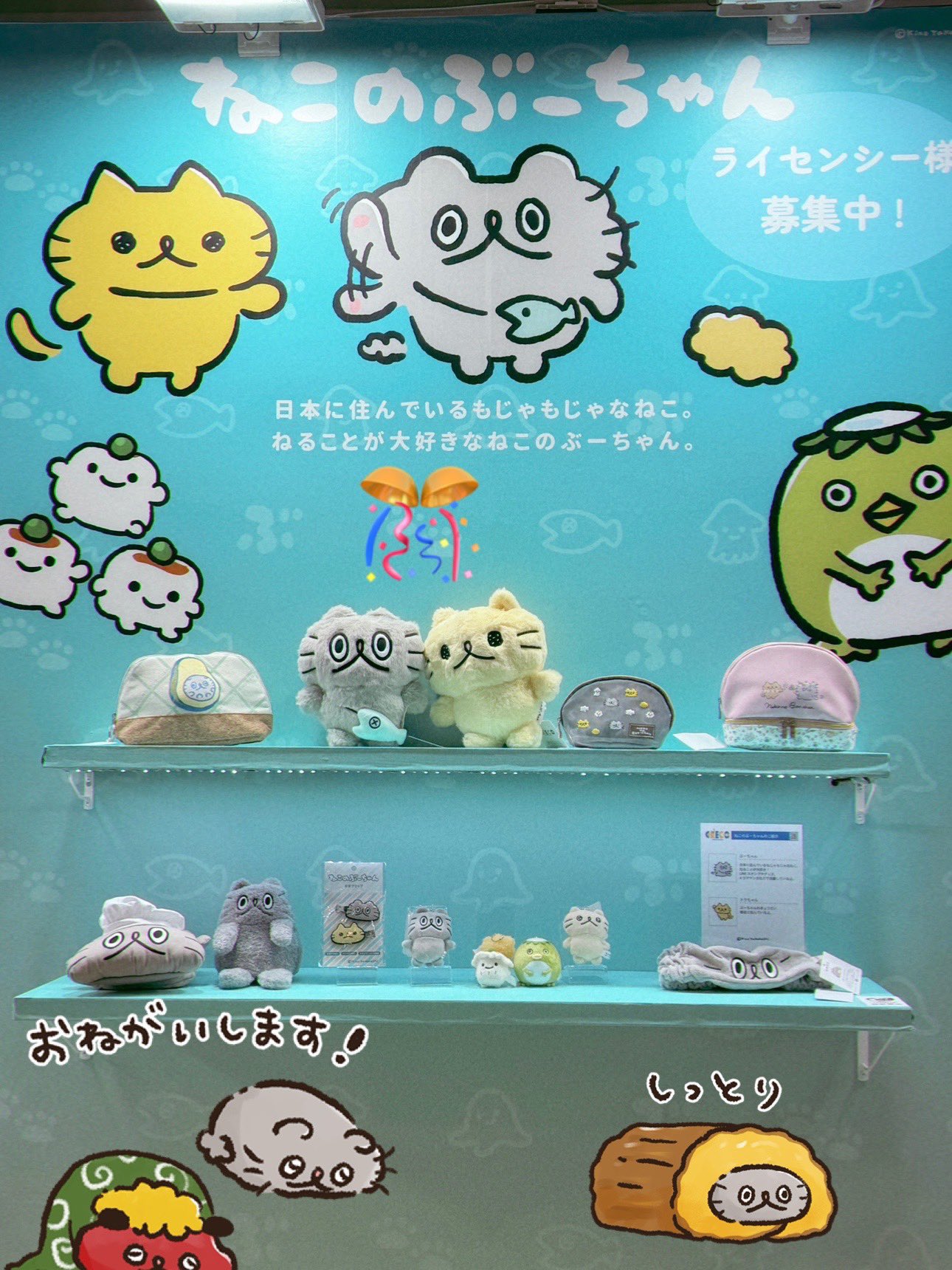 高橋きの 🐟ねこのぶーちゃんヤマシロヤPOPUP開催中♨️🐼🍤 on