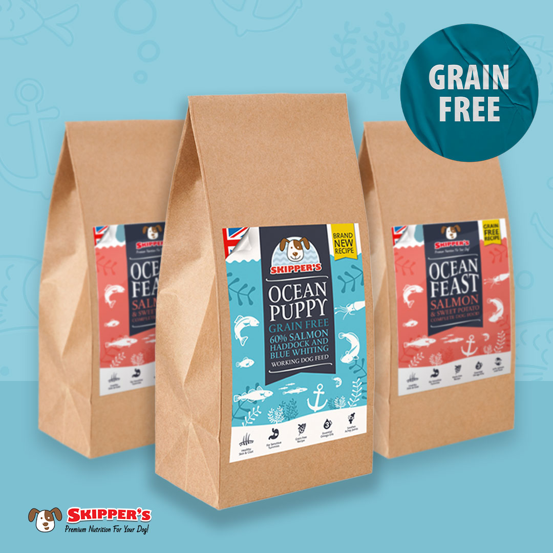 We don't just sell treats you know! 😉 Have you tried our grain-free food? 🐾
#skipperspetproducts #naturaldogtreats #grainfree #puppyfood #dogfood #grainfreedogfood