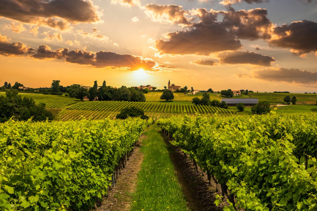 NEWS] Rural prosperity transcends wealth, say Europe’s farmers

Read more: cutt.ly/wrqzxOXl

#innovation #environment #pesticides #sustainableagriculture