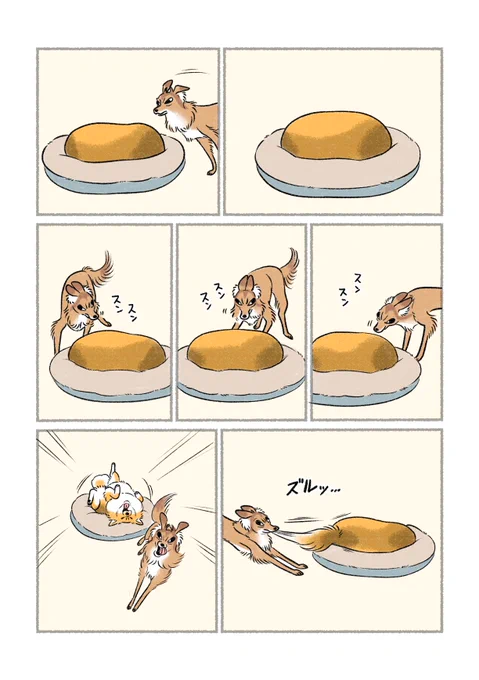 これなんだ? 