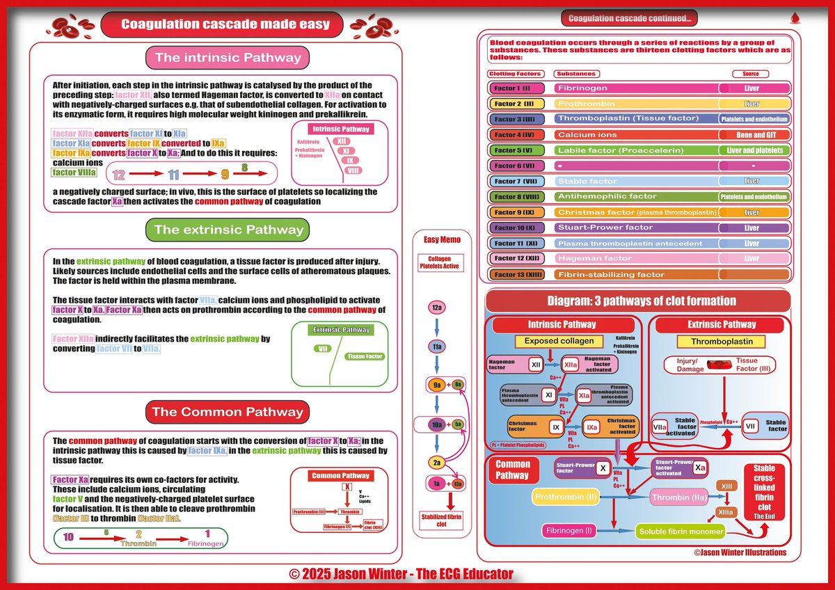 The ECG Educator 🩺 🫀 tweet media