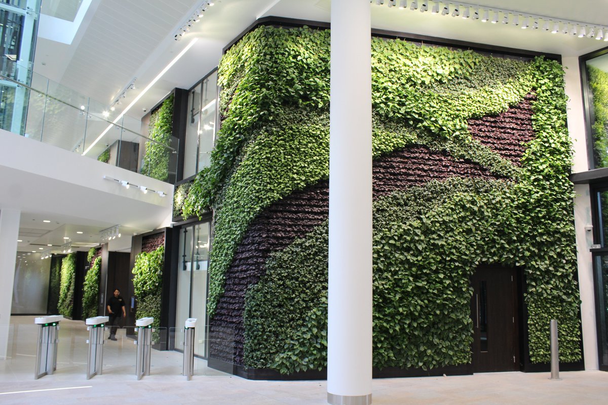 plants_atwork's tweet photo. Tomorrow is Green Wall Day! Celebrate the beauty & benefits of living walls—boosting air quality, well-being, & biodiversity. Read more in our latest article: https://t.co/Yjw70SSUlT #GreenWallDay #LivingWalls #BiophilicDesign https://t.co/GB0BSwvgiH