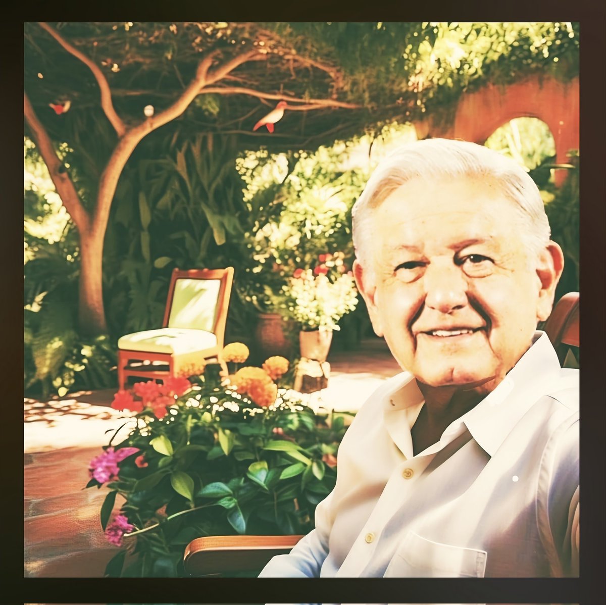 BachesUniversal's tweet photo. #amlopresidente https://t.co/QzCbWqI3XC