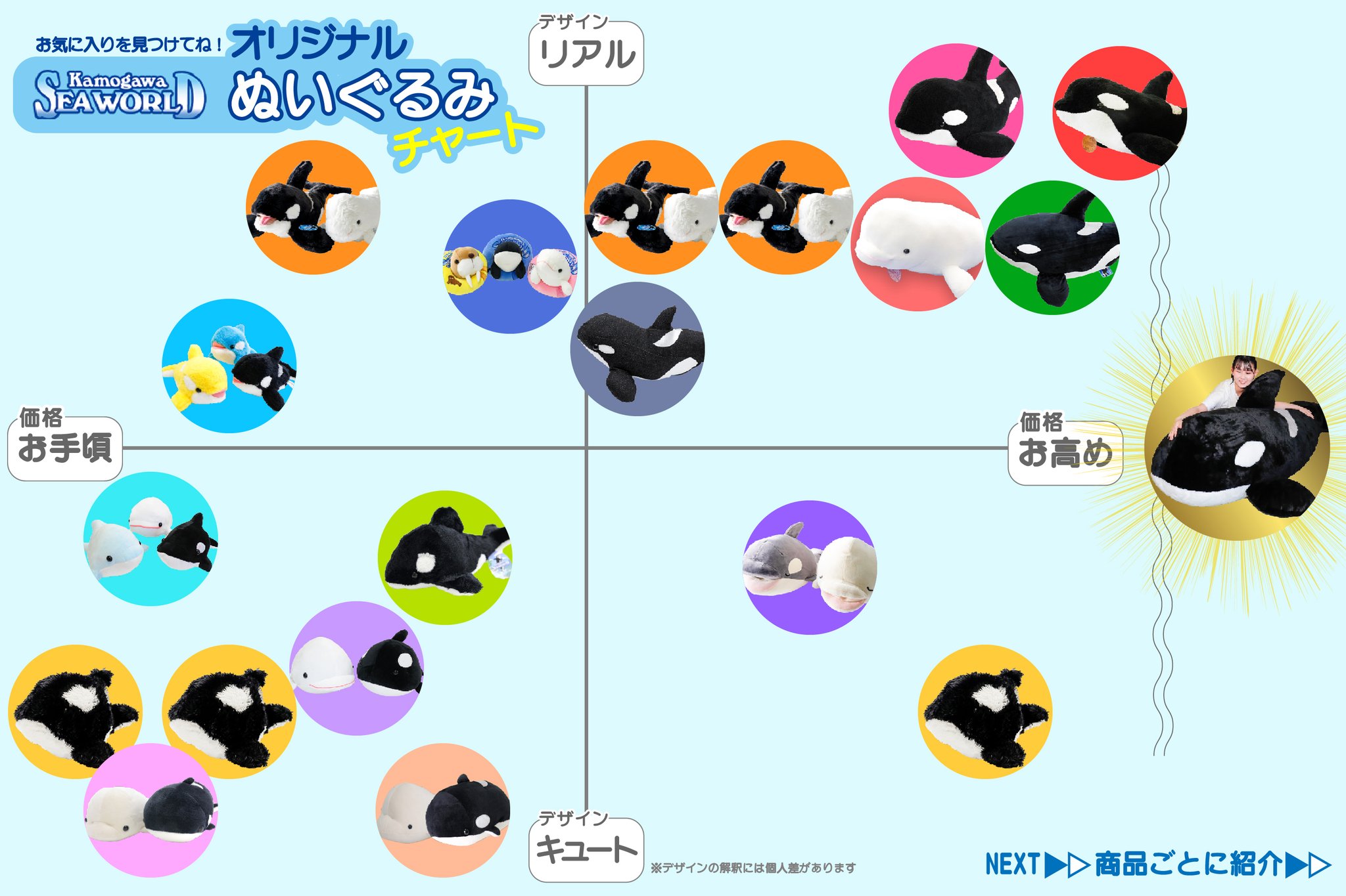 鴨川シーワールド【公式】 on X: 