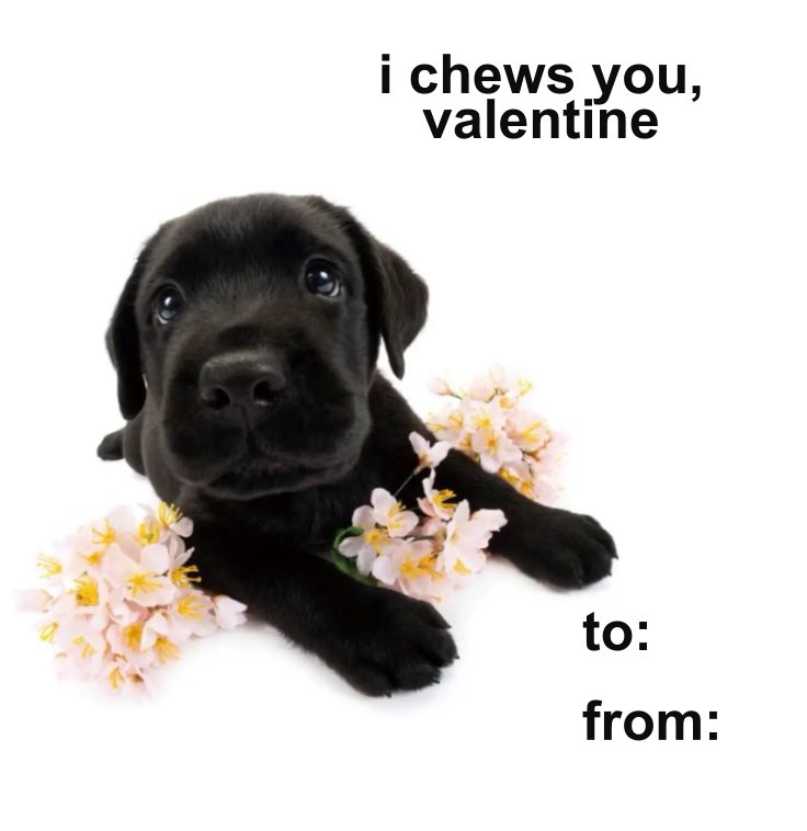 wolfb3ck's tweet image. 