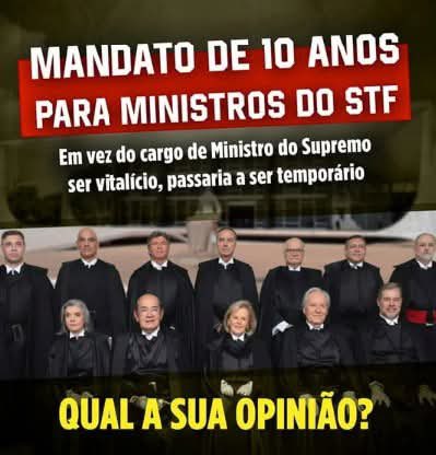 Sueli Rizzi 🌻🇧🇷 tweet media