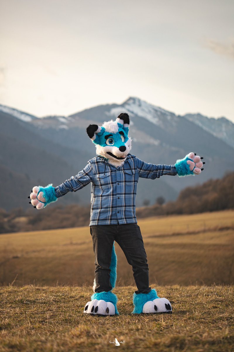 Fox in its natural habitat 

Happy #FursuitFriday ! 

📸 <a href="/GoodWolfSK/">GoodWolf</a>