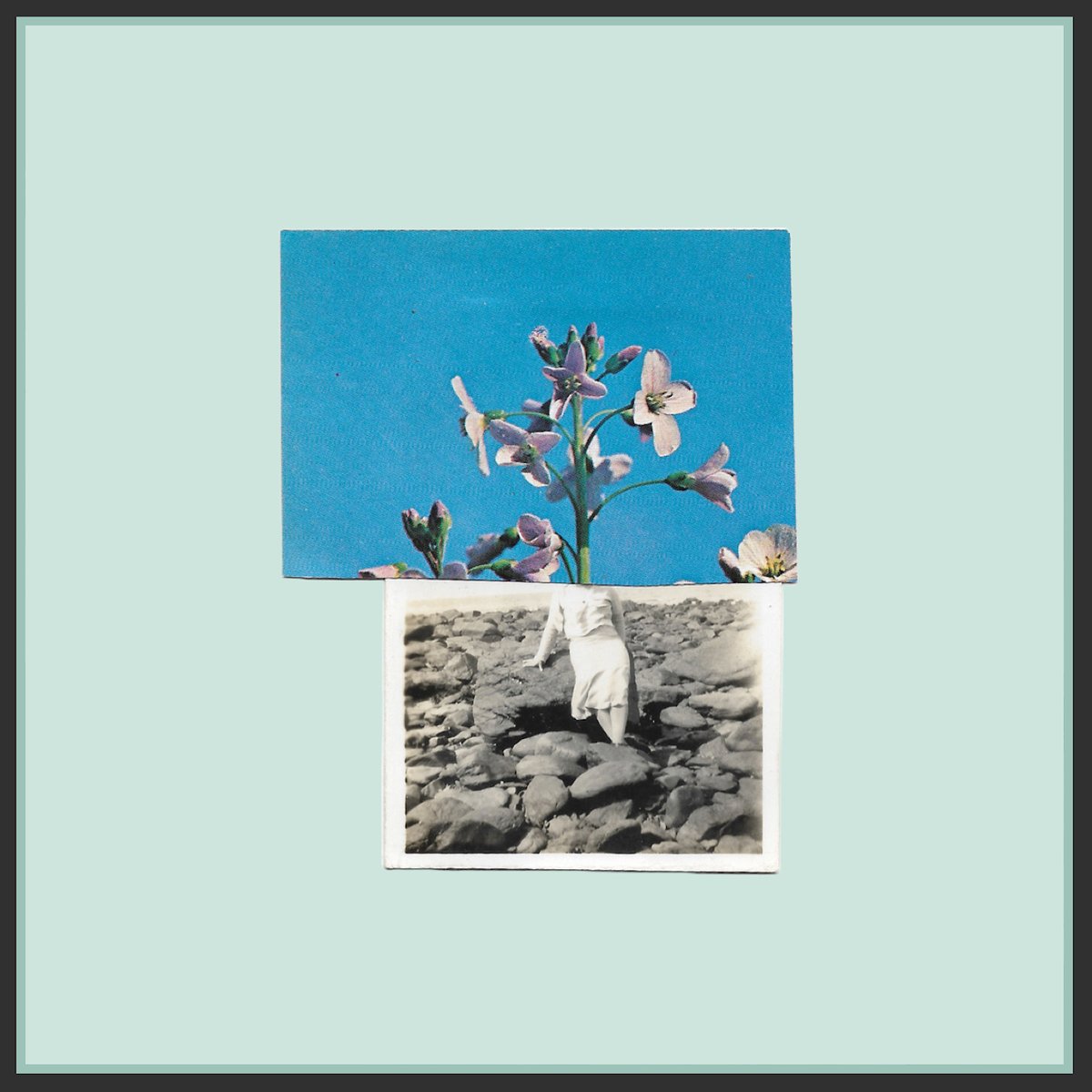 UK artist <a href="/MessageToBears/">Message To Bears</a> releases his highly-anticipated single 'Half Light' today! The song has been premiered by the notable <a href="/NotionMagazine/">NOTION</a>  

Stream/Download:
hypeddit.com/messagetobears…

notion.online/half-light-by-…
