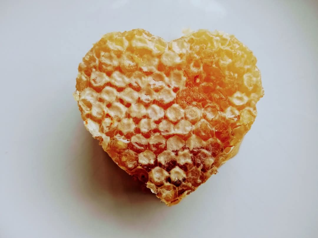 britishbee's tweet photo. Happy Valentine's Day https://t.co/EnCuSbxANE