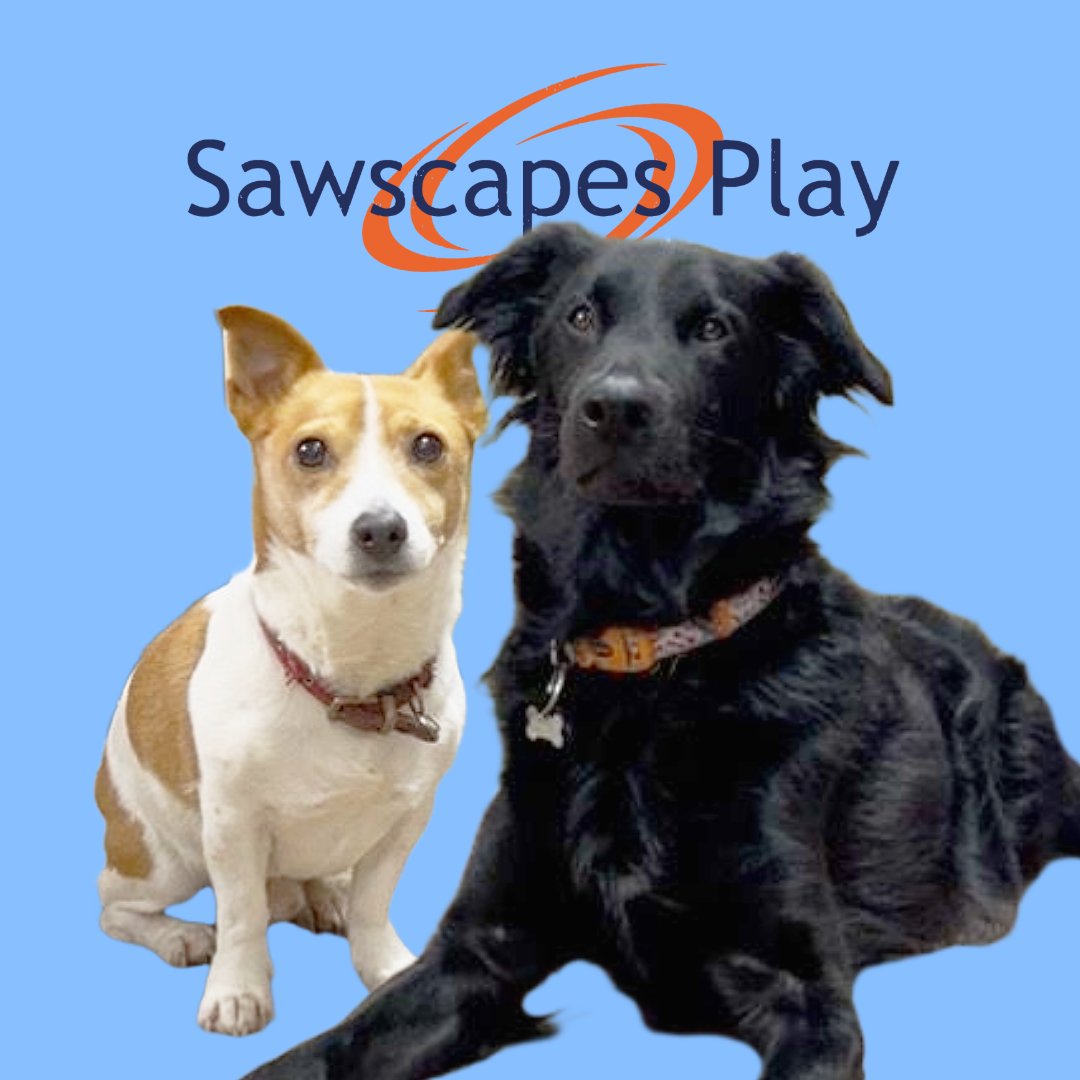 Sawscapes Play Ltd tweet media