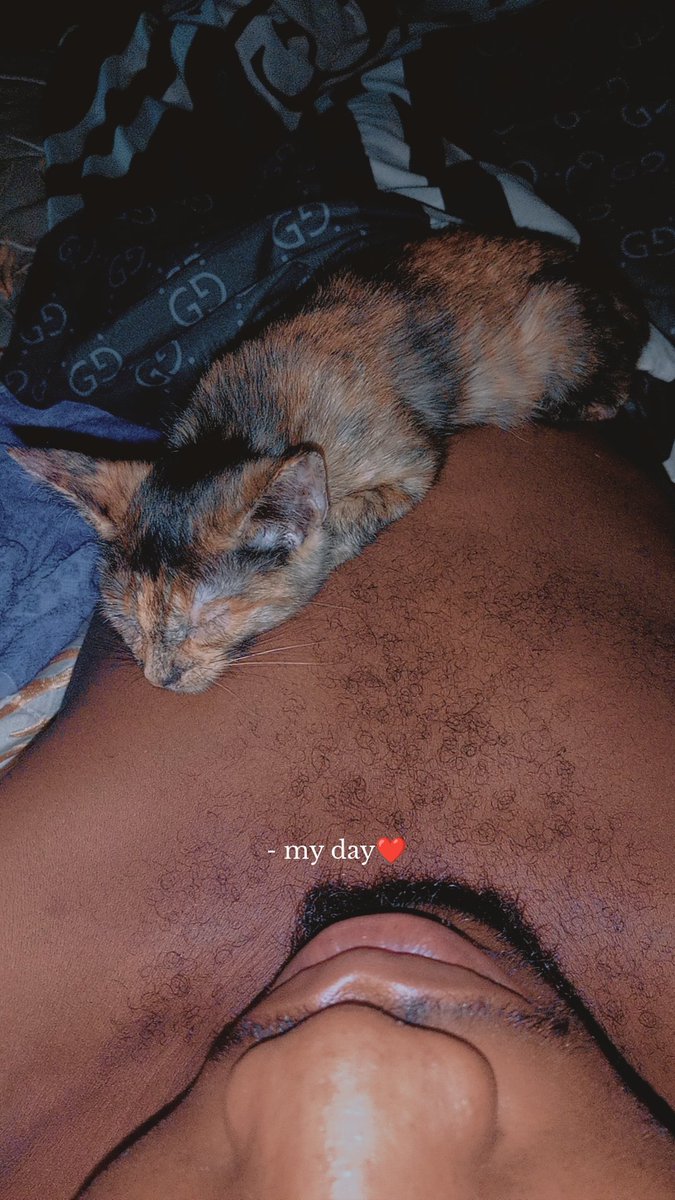 taps_tigs's tweet photo. 𝘽𝙚 𝙢𝙮 𝙠𝙞𝙩𝙩𝙮 𝙘𝙖𝙩 https://t.co/FSbckMibHw