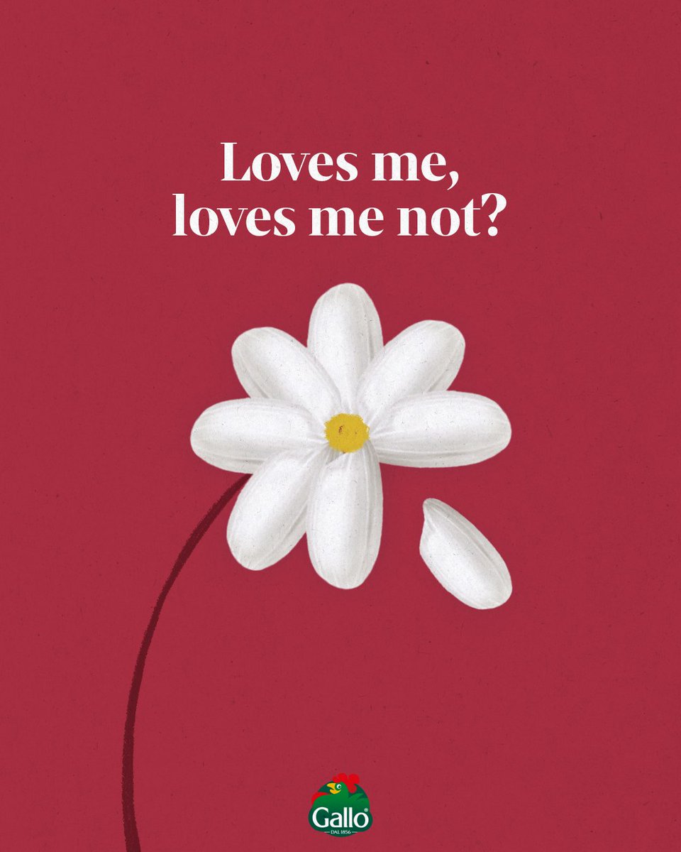 By now, you know... we pour love into every grain. 💕 

So why not fill your Valentine’s menu with a Riso Gallo recipe and cook up something truly special? ✨

Happy Valentine's Day! 🌹

#CookWithLove #ValentinesMenu #RisoGallo #RisottoRomance #HappyValentinesDay