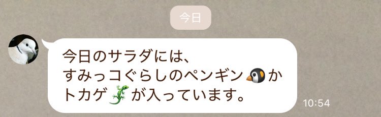 Hatoneko🕊ジュズカケバトのぽっぽ tweet media