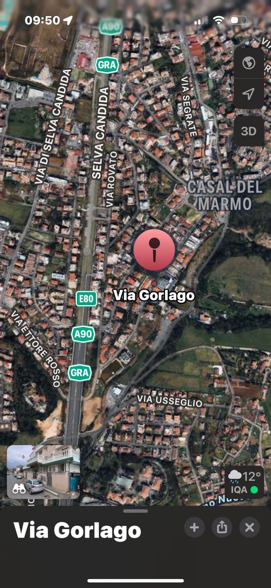 chruggeriTg2's tweet photo. ‼️‼️#SOS #Roma zona #Palmarola #Ottavia #CasalDelMarmo ma potrebbe essere ovunque. Troviamo questa creatura che ha bisogno di aiuto. Purtroppo hanno fatto foto e non l’hanno messo in salvo. Tralasciamo le polemiche e troviamolo. Grazie 👇👇👇 https://t.co/1UCXZb5rhB
