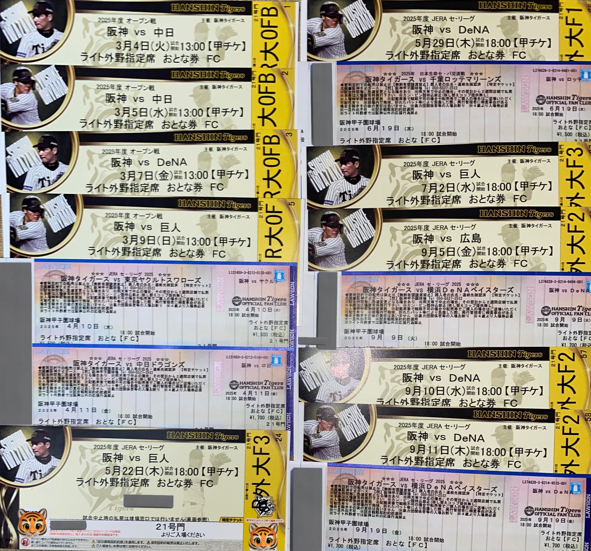 阪神vs巨人】チケット 2025年5月21日 （🇯🇵あむけよてるむ