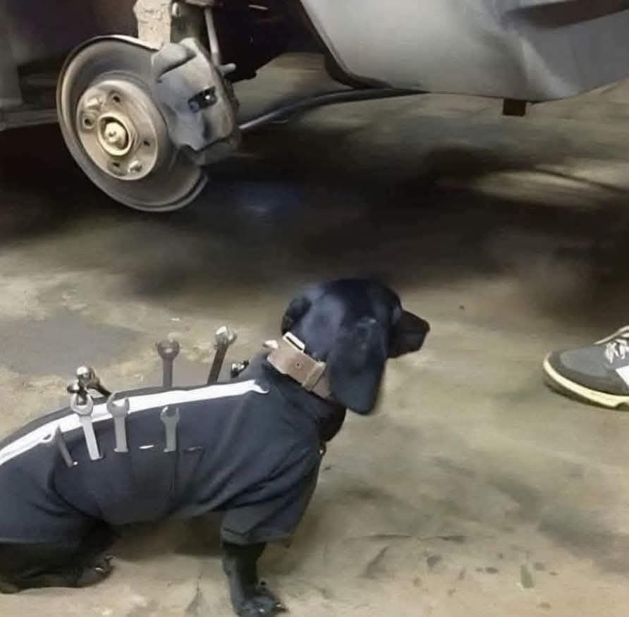 Espen (@pedersen_e93923) on Twitter photo 