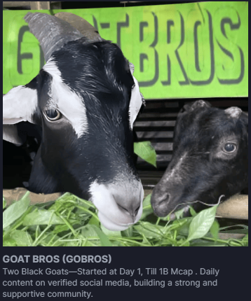 GOBROS_sol's tweet photo. One tweet, One buy, One life changing moment. Make it count! 🏆 $GOBROS https://t.co/k36d3ScMso