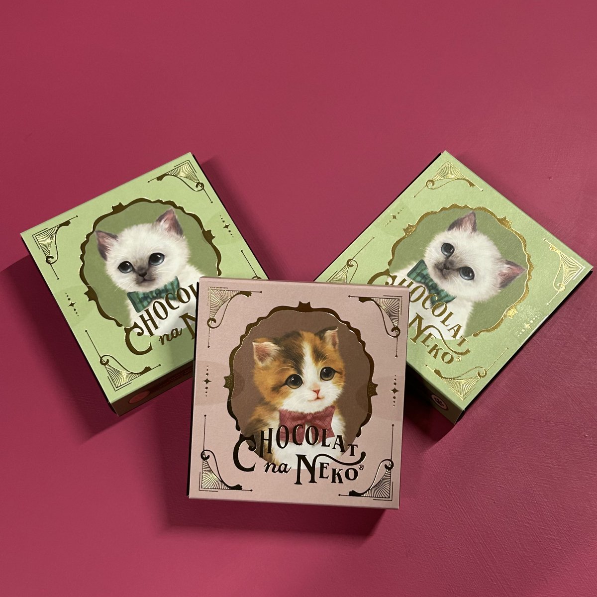 ecopen_inc's tweet image. HAPPY VALENTINE!!🥳
エコペンでは毎年この時期に社員や関係者の皆様へチョコレートをお渡ししています🍫2月は忙しいかと思いますが甘い物を食べて頑張っていきましょう〜！