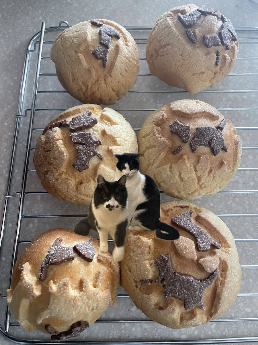 らいおん丸 (@lionmaru_046) / Posts / X