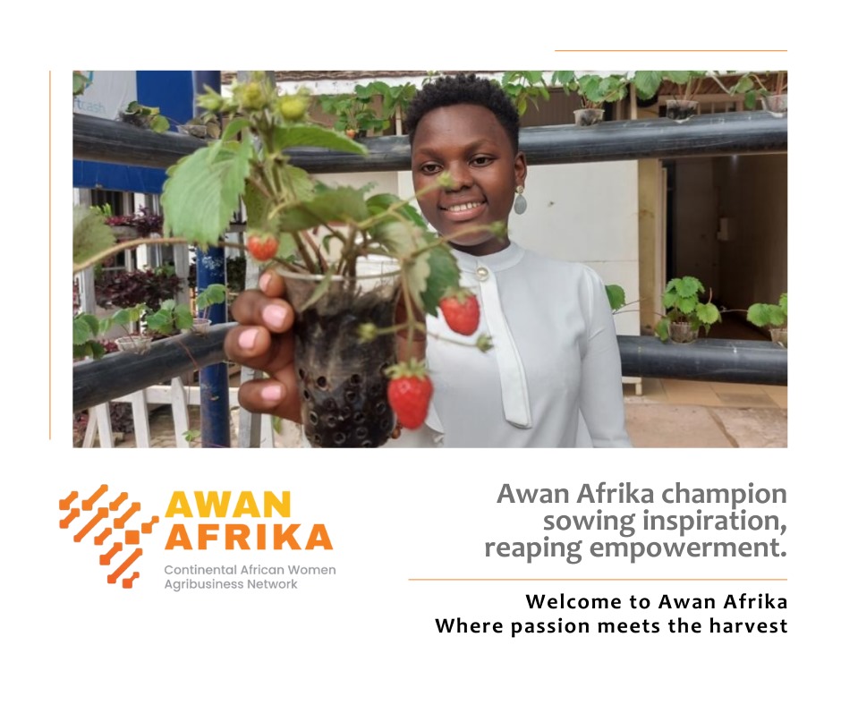 #AwanAfrika #WomenInAg #YouthInAgribusiness