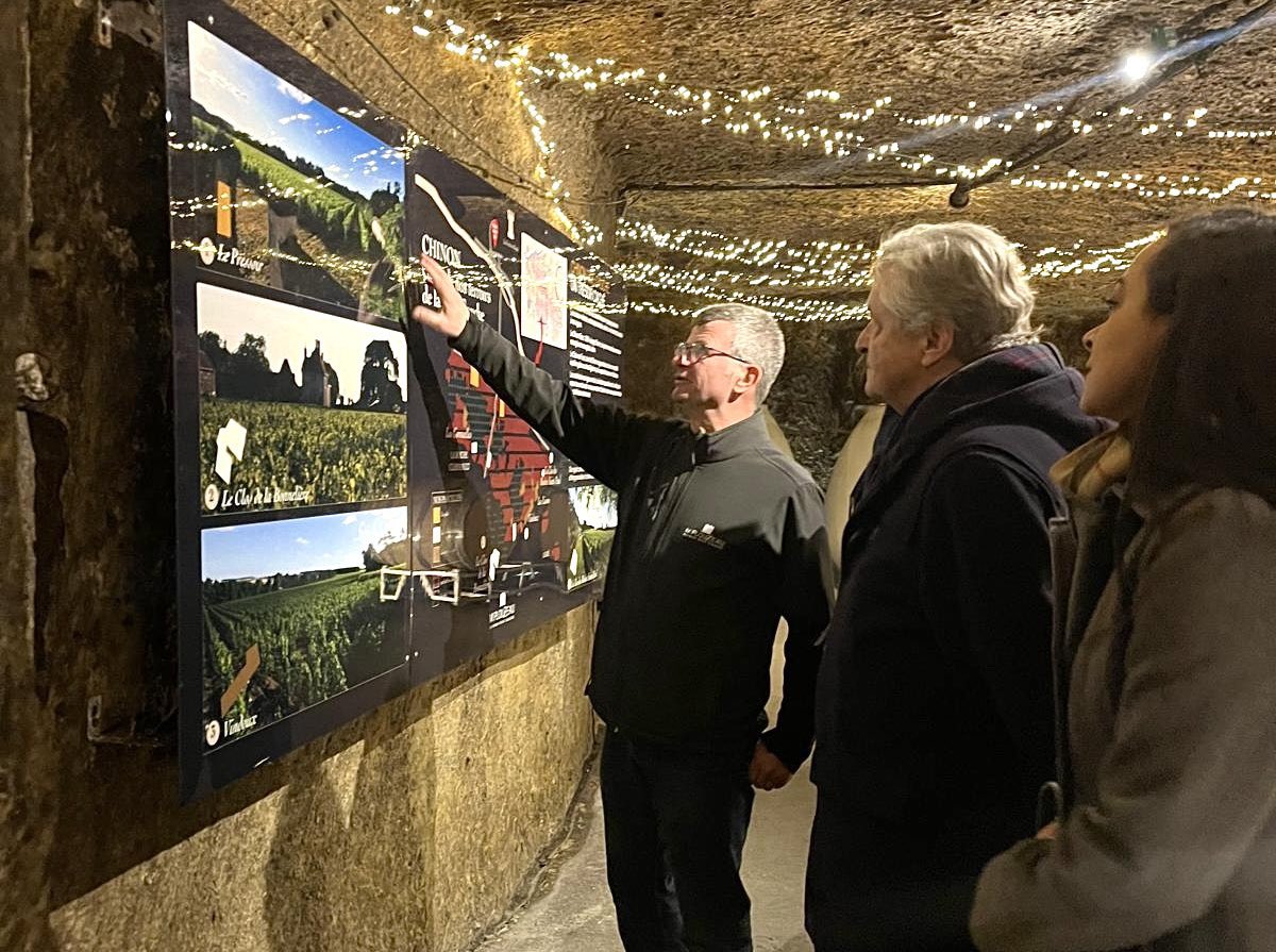 Ambre Louisin tweet media