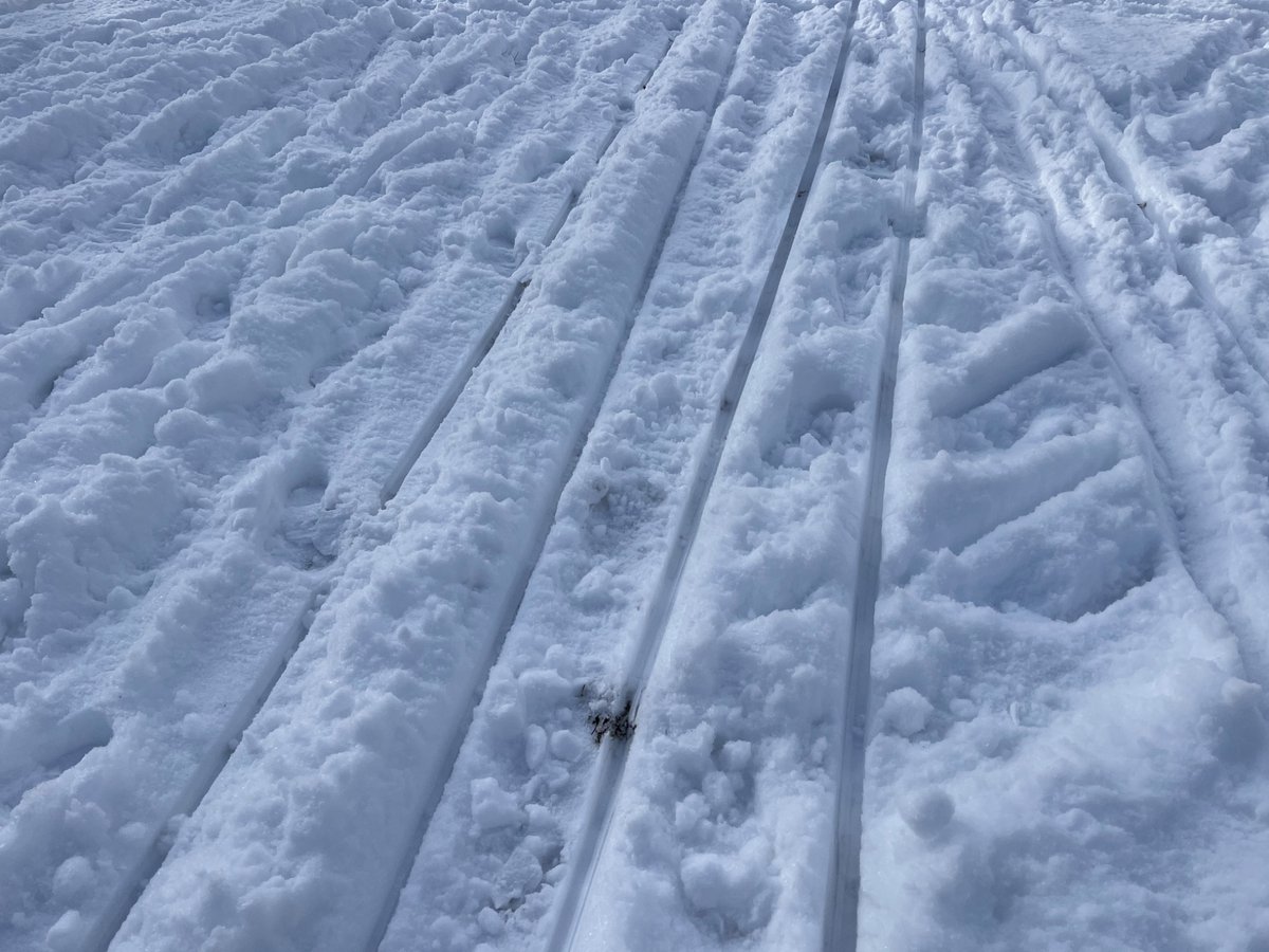 Mehr Autoverkehr auf Schlitten verlagern. Hat das eigentlich eine Partei in ihrem Wahlprogramm stehen? #winterwahlkampf #verkehrswende #BTW25