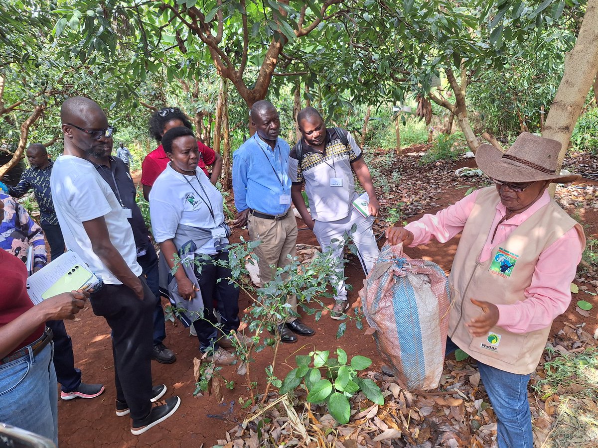 Some civil society players went on a field trip in the Wakas farm around Nairobi as part of a workshop on advancing agroecology and sustainable food systems in Africa, organized by Brot für die Welt on February 12, 2025.
For more information, click here: lavoixdupaysan.net/cameroun-visit…