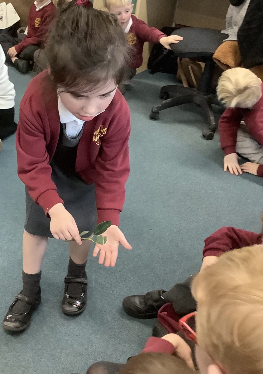 Fleming class had a fabulous finish to our science topic 'How are animals different?'. We invited children to bring in their small pets to tell us about how they look after them. We were visited by some sea monkeys, a tropical fish, some stick insects and a wormery. 🐛🐟