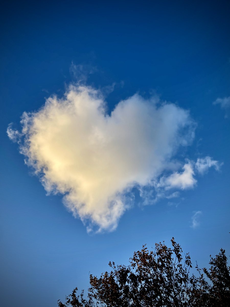 Above Adelaide.. on Valentine’s Day. And it’s not AI @10NewsFirst