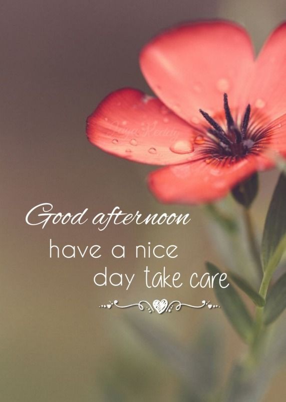 Asslam o alikum X world 🌎

Good Afternoon X Family 💝
#Goodafternoon