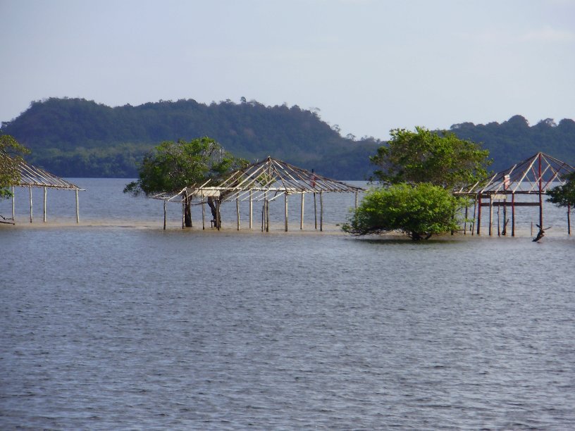 Polyanna Bispo tweet media