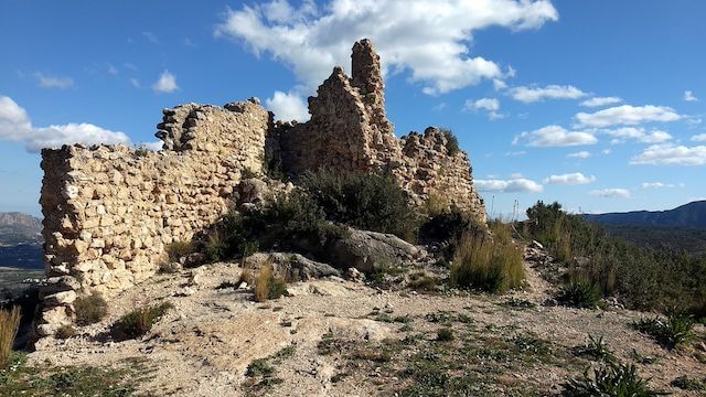 TrailExplorer tweet media