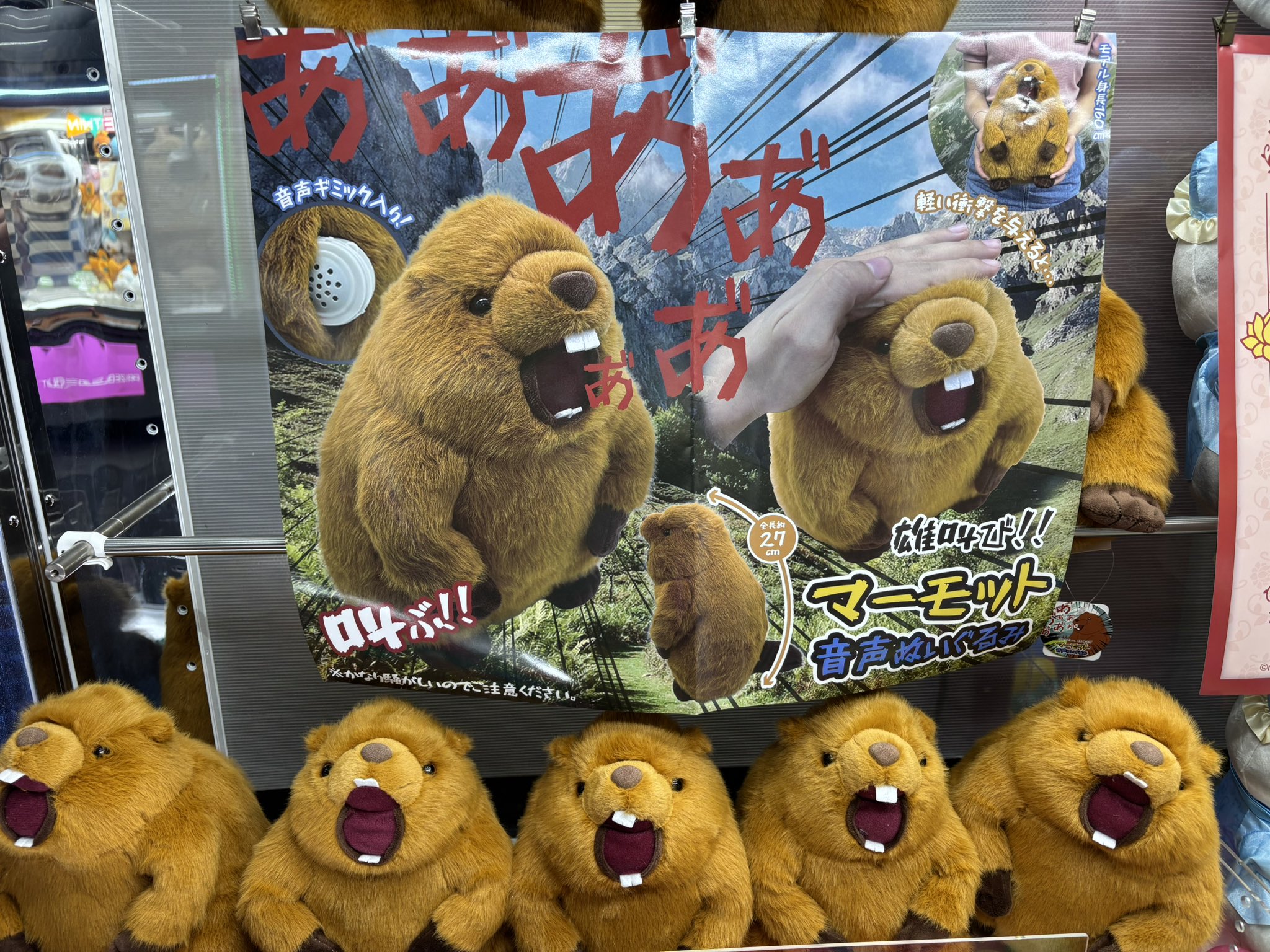 Amazon.co.jp: 雄叫び マーモット音声ぬいぐるみ叫ぶBIG