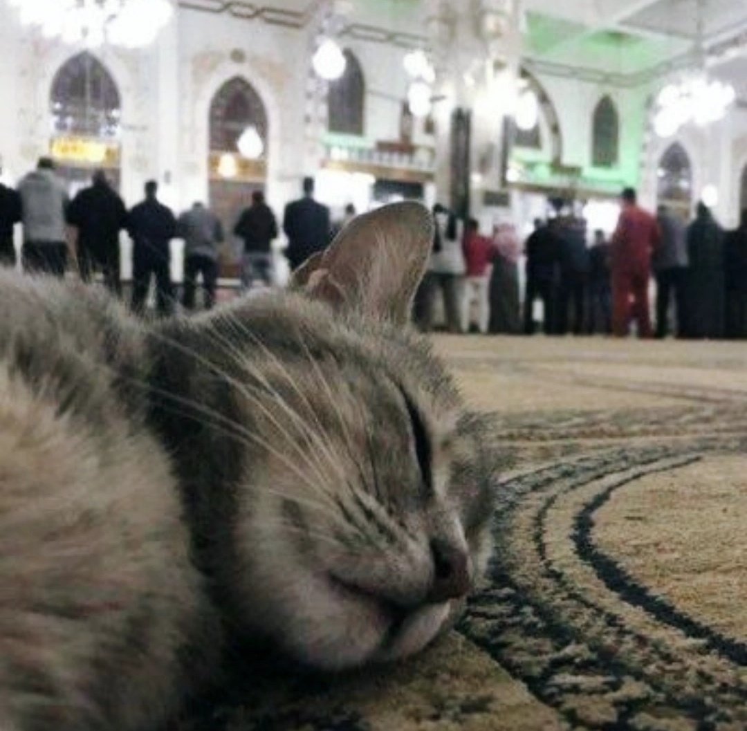 "Bazen tükeniyoruz sen şikayet sayma Âllah'ım"...