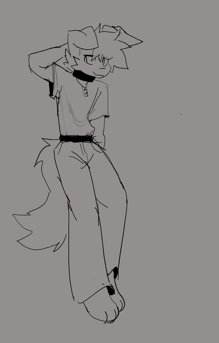 skipperatio's tweet image. Wipp