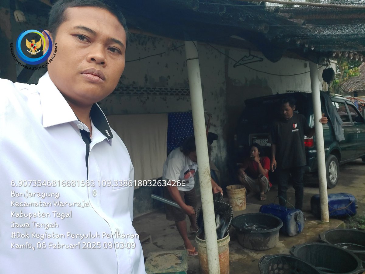 sugi_tanto's tweet photo. Kamis (6/02/25) Sugi H Luhkan Kab. Tegal, Anjangsana dan pendampingan Panen lele sebanyak 67kg dg hrga Rp 20rb/kg milik bpk Dedi di desa Banjaragung Kec Warureja. #GiatLuhkanSatminkalBogor #luhlapor #luhkankab_tegal @brpbatpp_bogor @PKBLU_bp3tegal @pusluh_bppsdm @diskankabtegal https://t.co/xRUPSWXl73