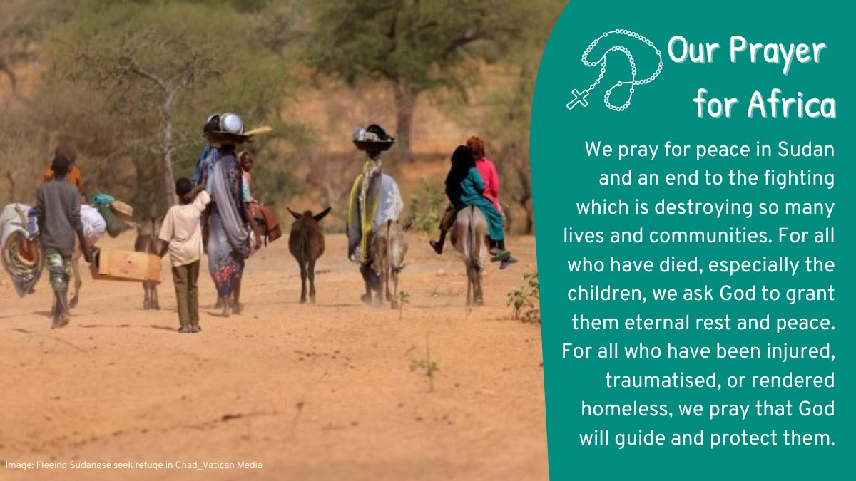 Every prayer matters. Every voice counts. Join our global community in this week's Mission Rosary as we pray for peace and compassionate leadership worldwide. 

#PrayForPeace #MissionRosary